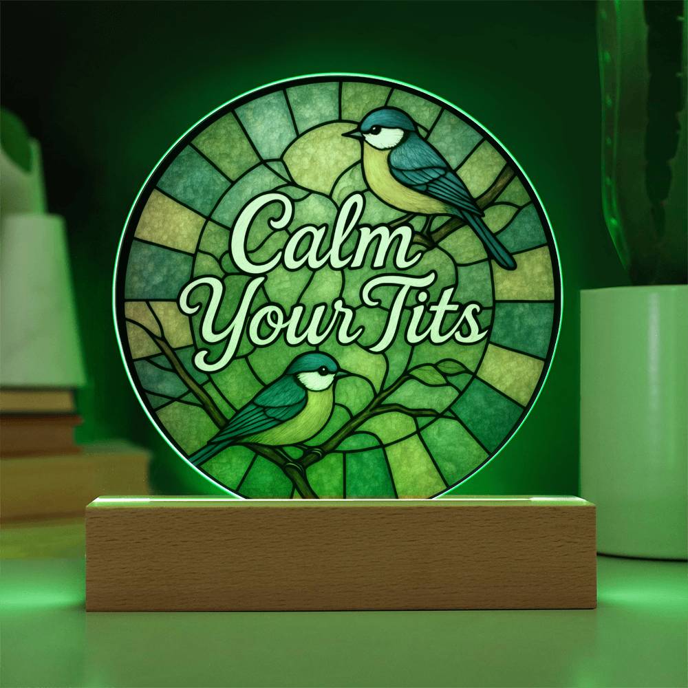 Funny LED Night Light - Green Bird Acrylic Desk Plaque | Sarcastic Gift Idea