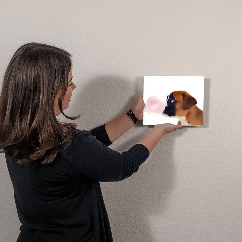 Cute Boxer Dog Blowing Bubblegum - Metal Wall Art