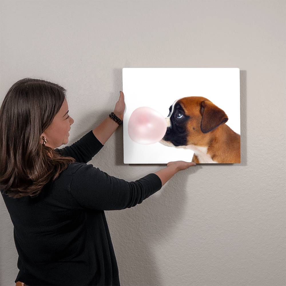 Cute Boxer Dog Blowing Bubblegum - Metal Wall Art