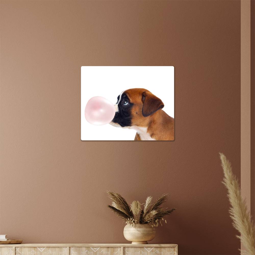 Cute Boxer Dog Blowing Bubblegum - Metal Wall Art