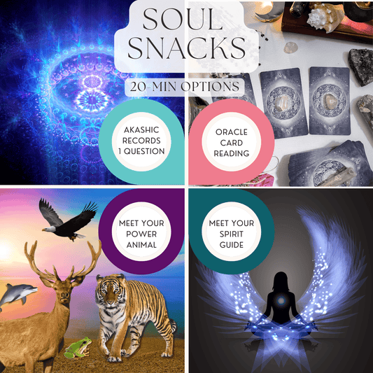Soul Snack Sessions (20-minute mini sessions)