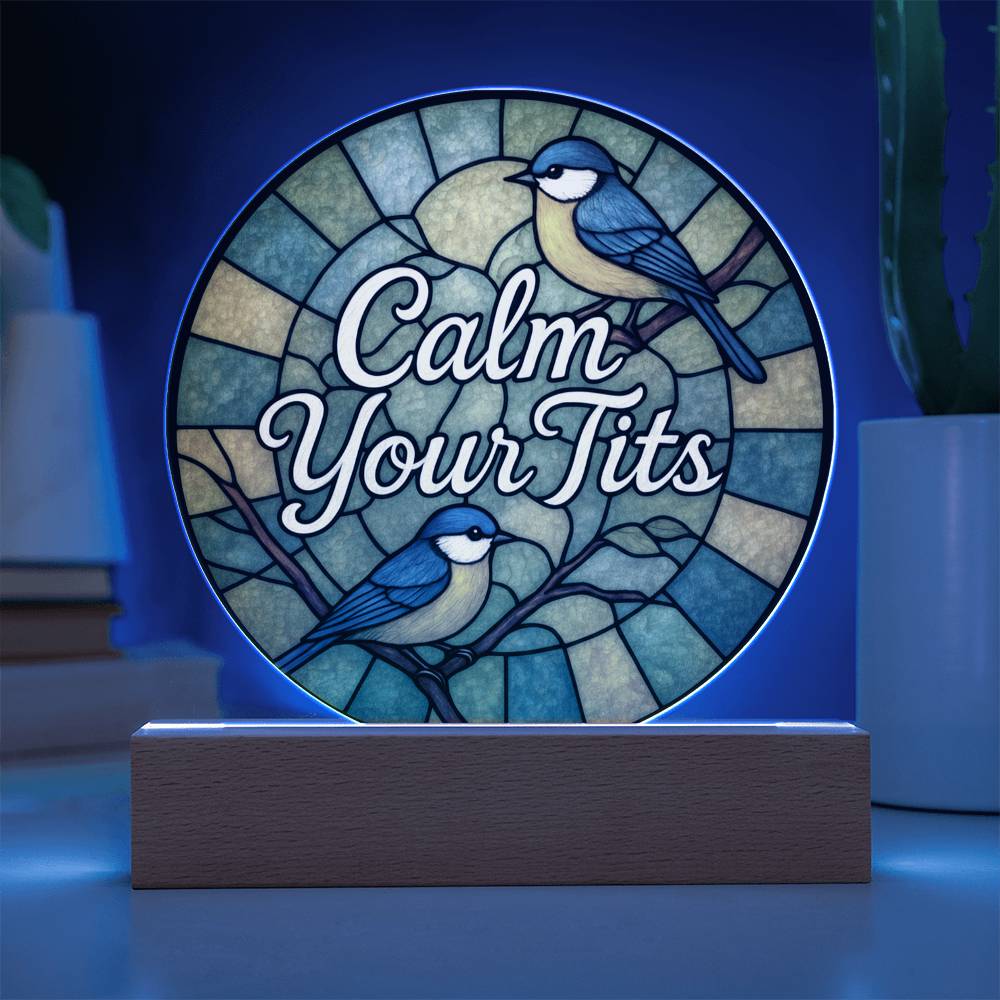 Funny LED Night Light - Green Bird Acrylic Desk Plaque | Sarcastic Gift Idea