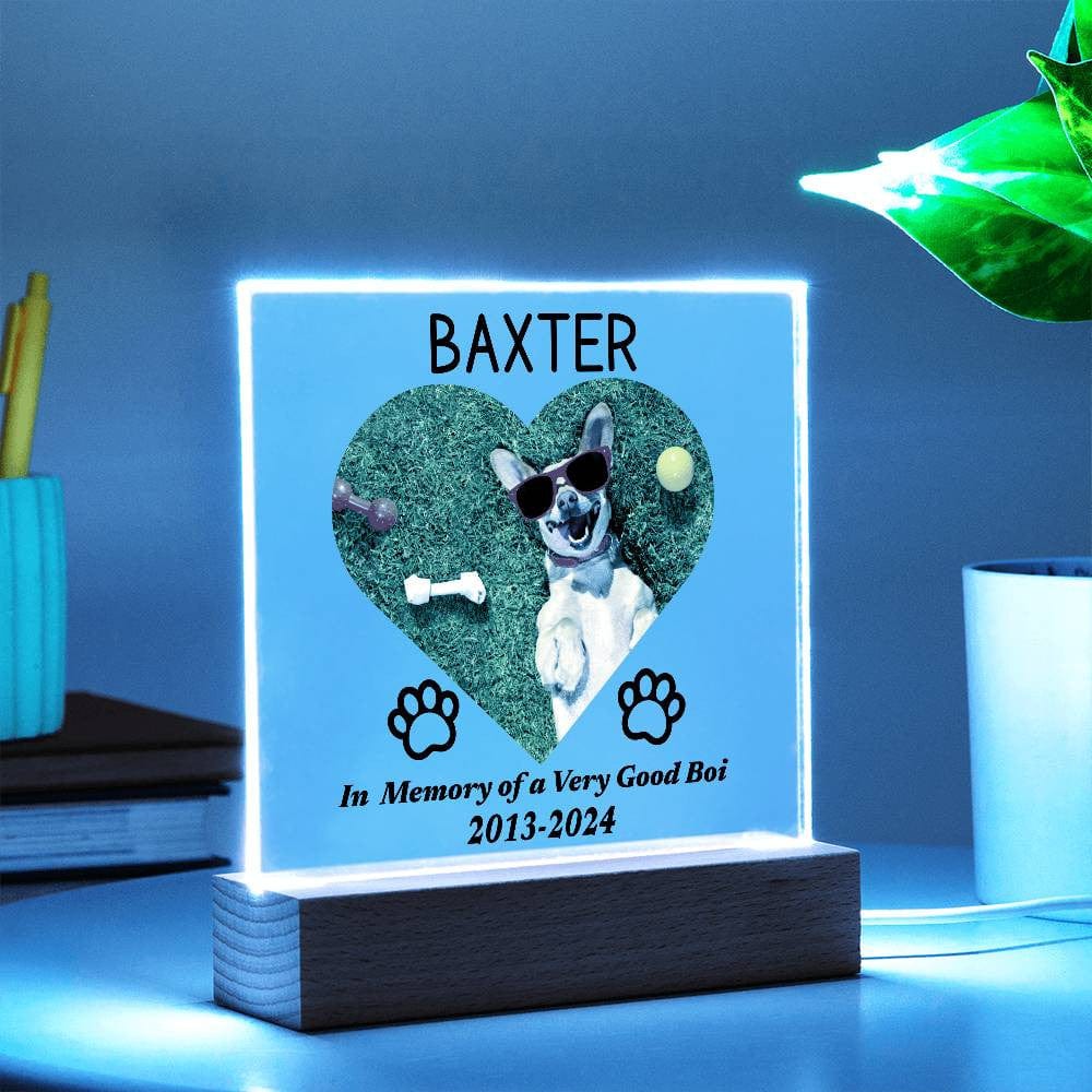 Custom Dog Loss Memorial Gift, LED Acrylic Plaque, Pet Keepsake Remembrance Dog Owner, Personalized Photo Text, Rainbow Bridge Sympathy