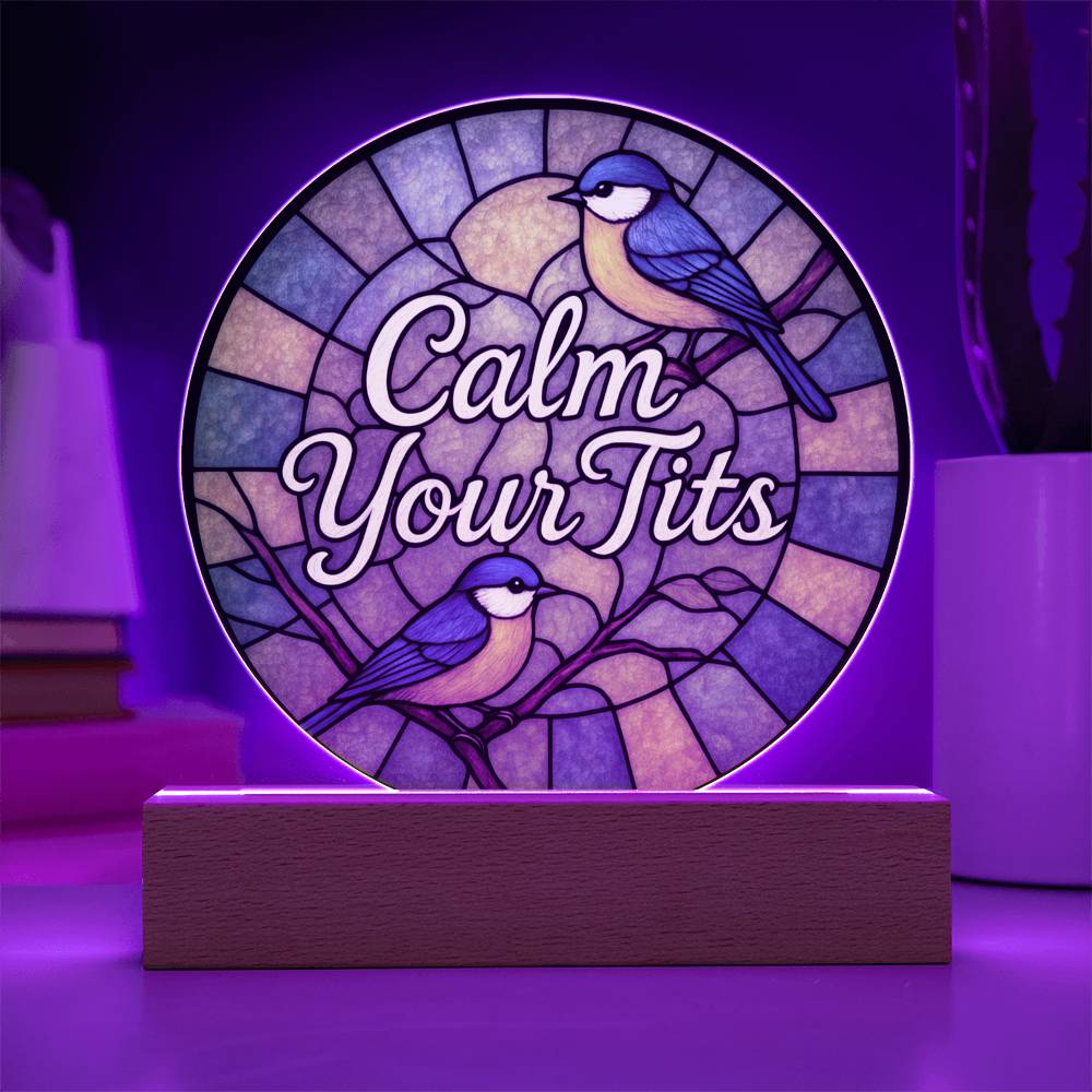 Funny LED Night Light - Green Bird Acrylic Desk Plaque | Sarcastic Gift Idea