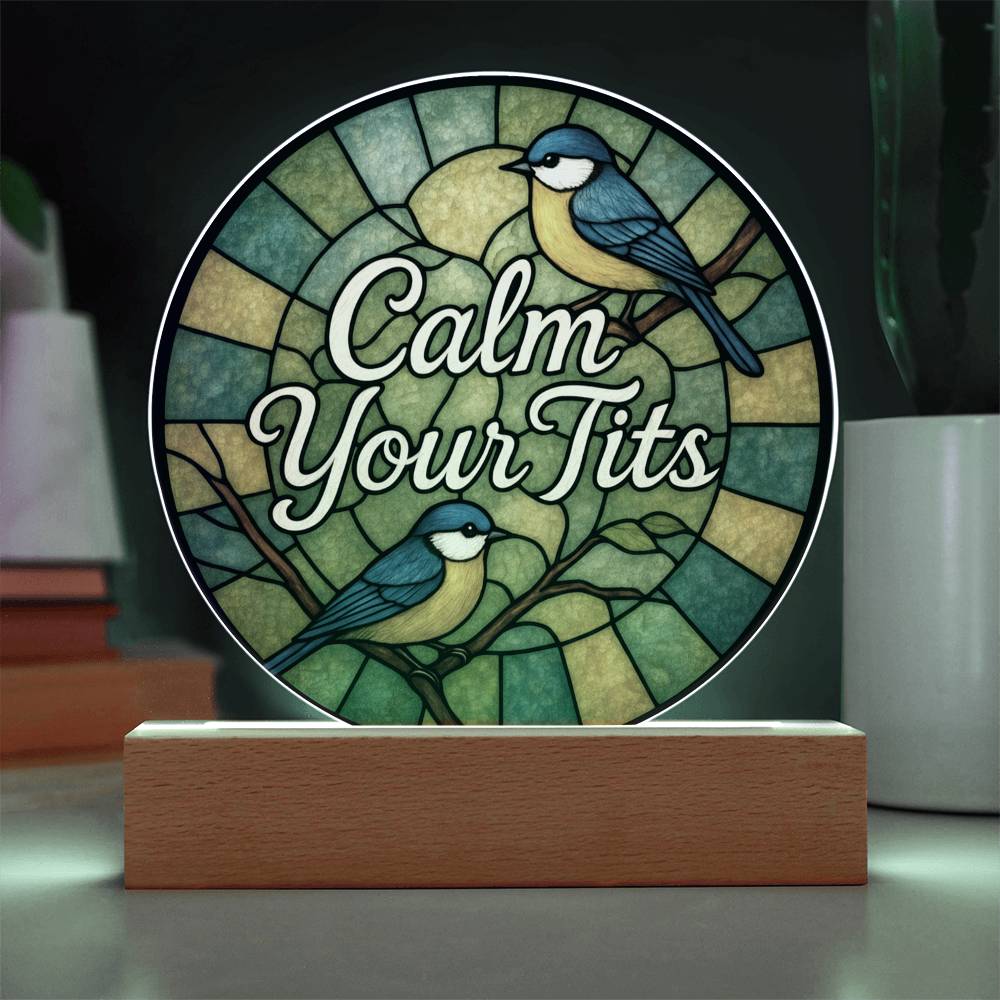 Funny LED Night Light - Green Bird Acrylic Desk Plaque | Sarcastic Gift Idea