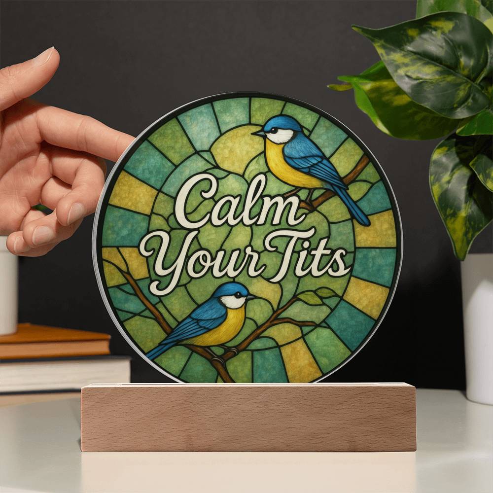 Funny LED Night Light - Green Bird Acrylic Desk Plaque | Sarcastic Gift Idea