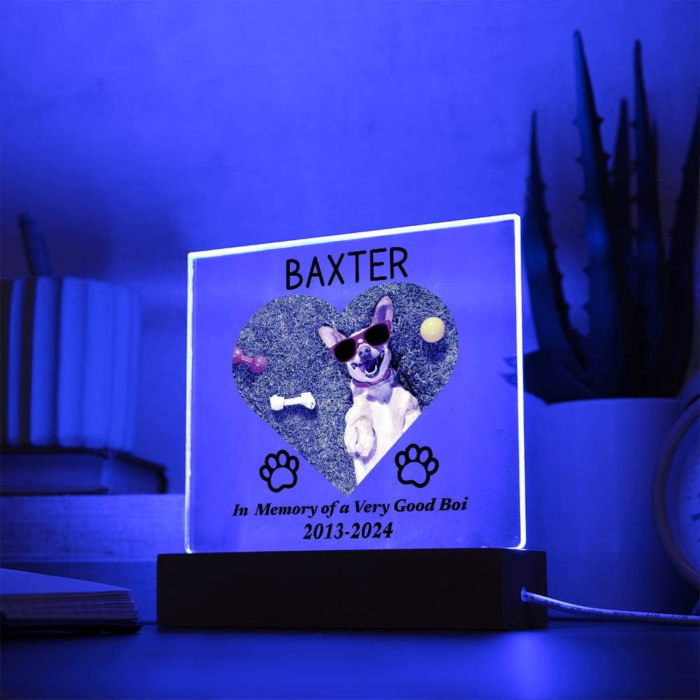 Custom Dog Loss Memorial Gift, LED Acrylic Plaque, Pet Keepsake Remembrance Dog Owner, Personalized Photo Text, Rainbow Bridge Sympathy