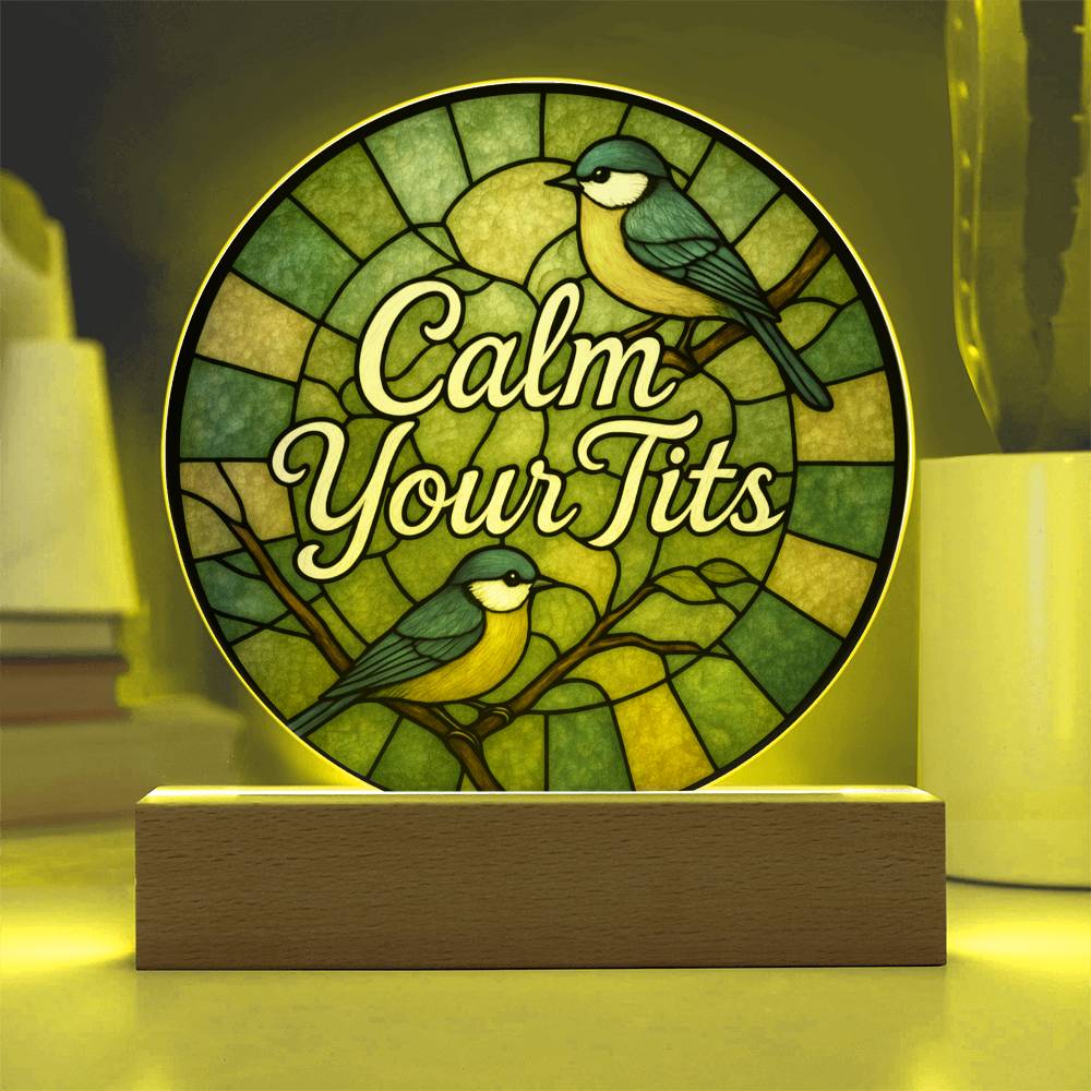 Funny LED Night Light - Green Bird Acrylic Desk Plaque | Sarcastic Gift Idea