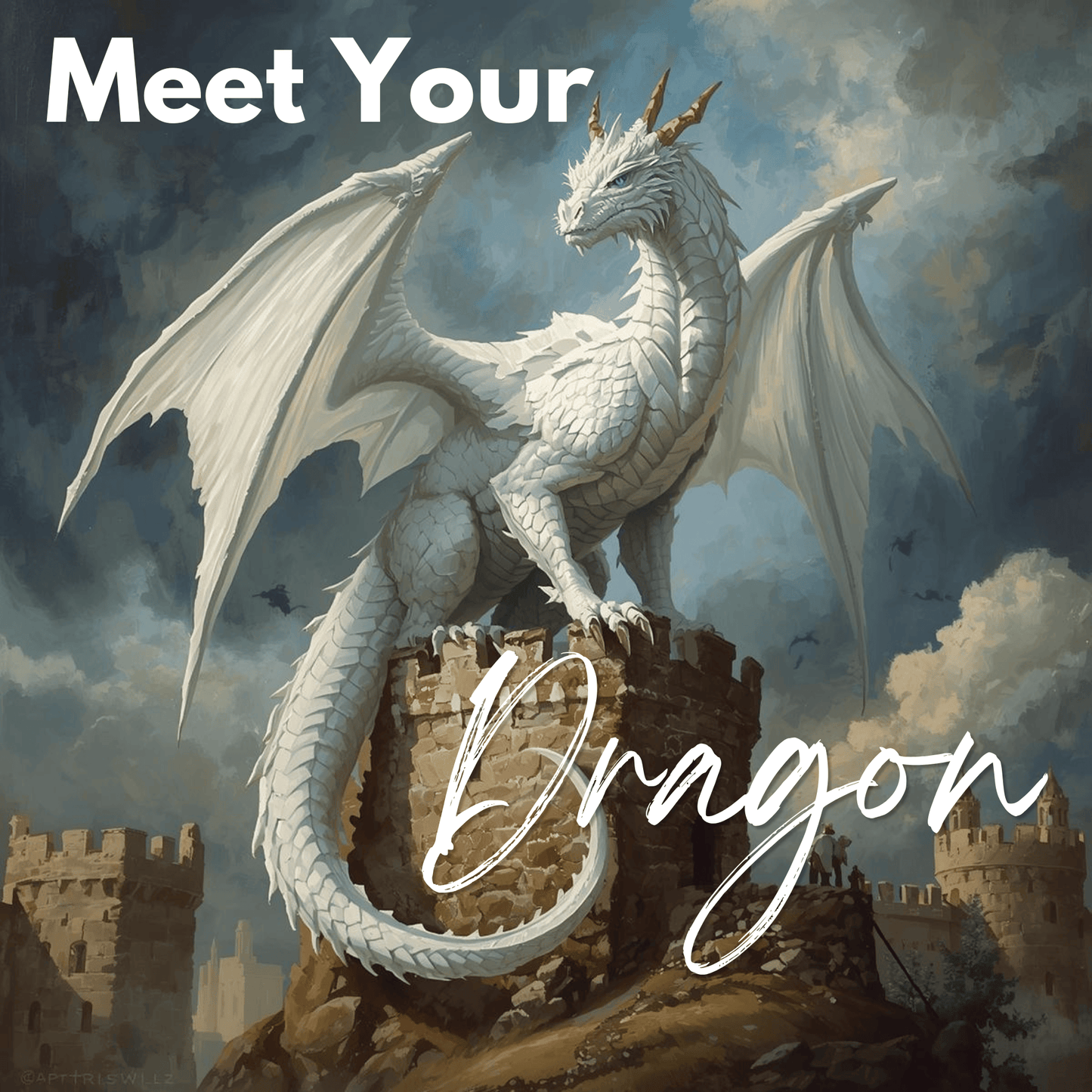 Meet Your Dragon | 30-Minute Spiritual Dragon Session