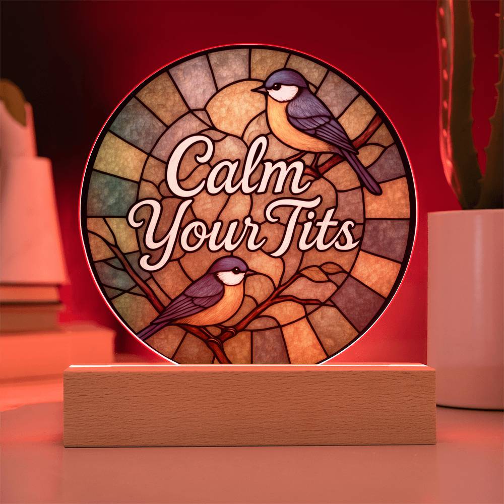 Funny LED Night Light - Green Bird Acrylic Desk Plaque | Sarcastic Gift Idea