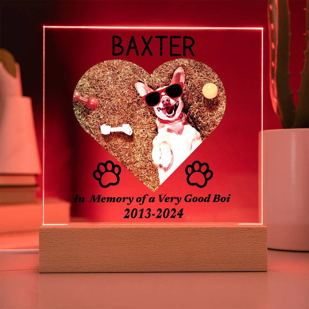 Custom Dog Loss Memorial Gift, LED Acrylic Plaque, Pet Keepsake Remembrance Dog Owner, Personalized Photo Text, Rainbow Bridge Sympathy