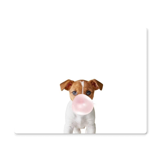 Cute Jack Russell Terrier Puppy Blowing Bubblegum - Metal Wall Art