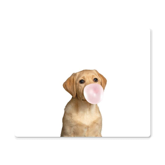 Cute Yellow Labrador Puppy Dog Blowing Bubblegum - Metal Wall Art