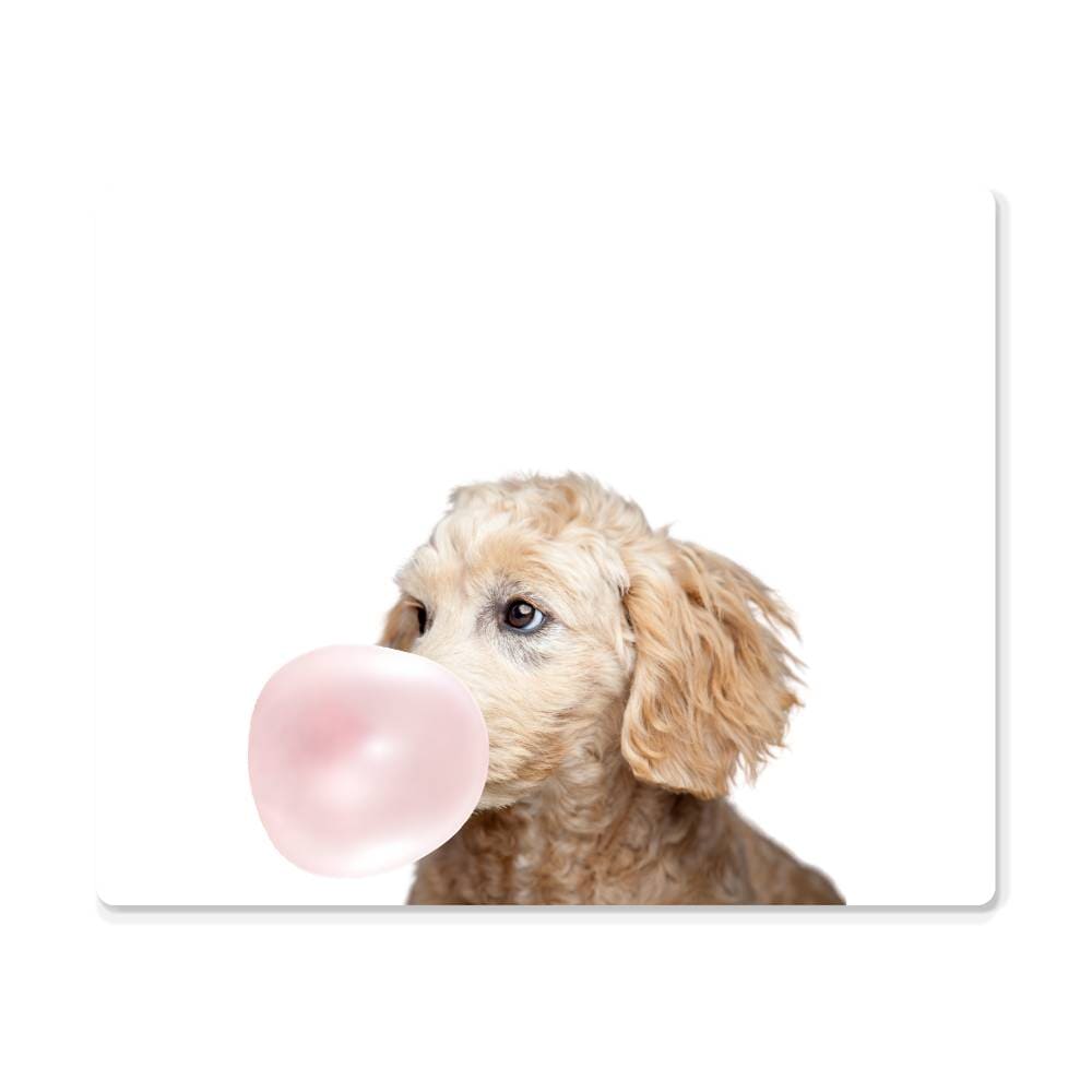 Cute Golden Doodle Blowing Bubblegum - Metal Wall Art