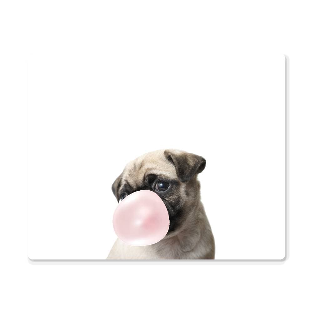 Cute Pug Blowing Bubblegum - Metal Wall Art