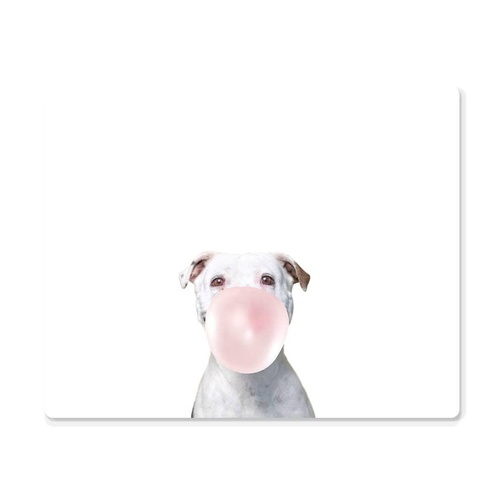 Pitbull Blowing Bubblegum - Metal Wall Art