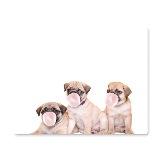 Cute Pugs Blowing Bubblegum - Nursery Metal Wall Art