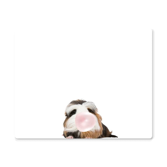 Cute Guinea Pig Blowing Bubblegum - Metal Wall Art