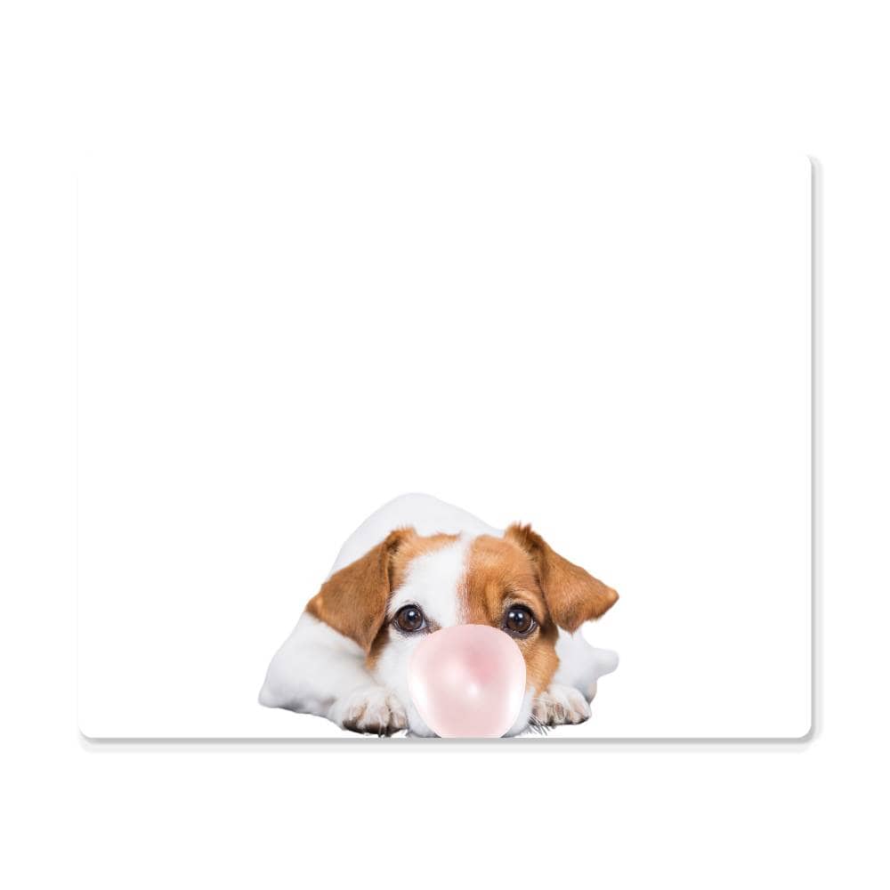 Cute Jack Russell Terrier Blowing Bubblegum - Metal Wall Art