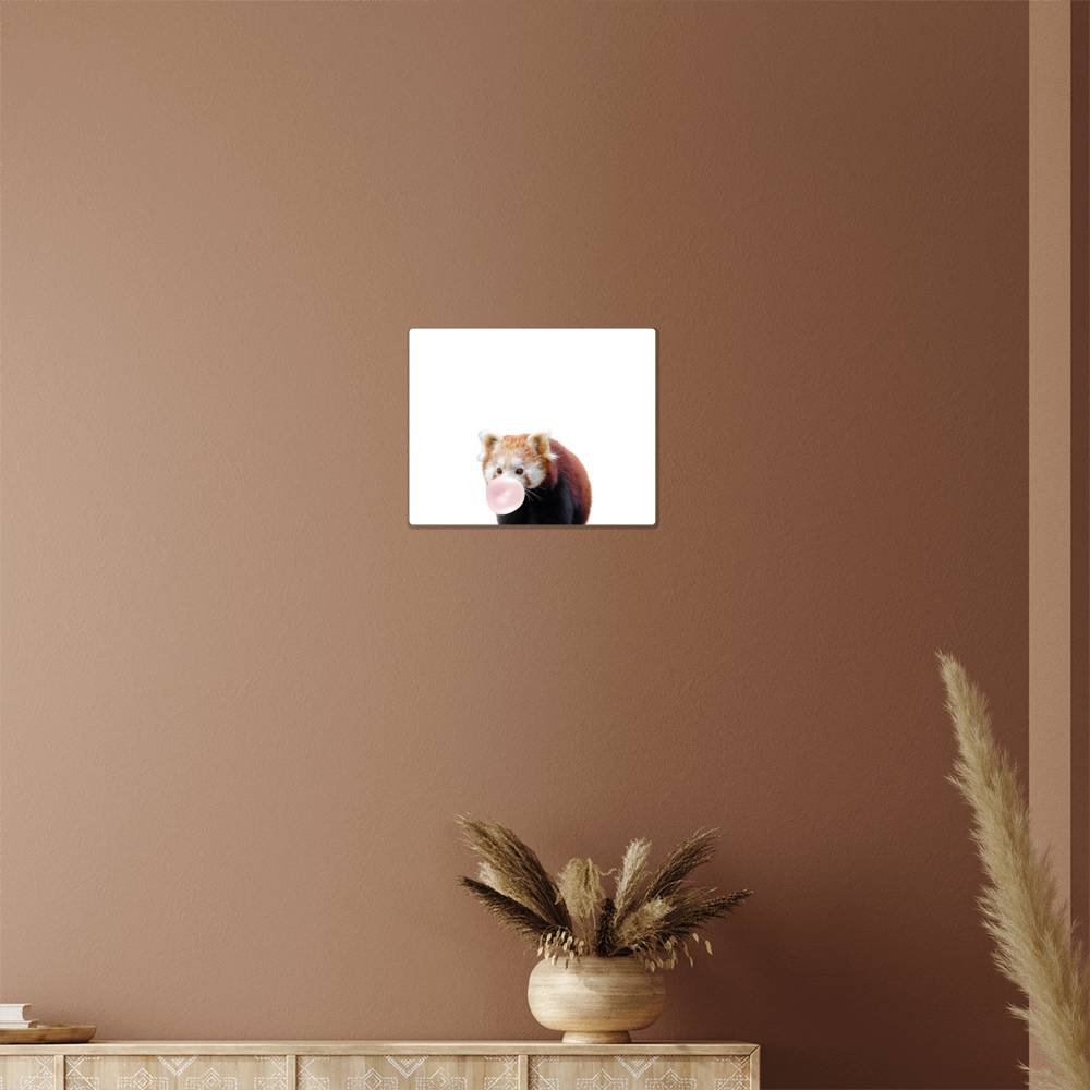 Red Panda Blowing Bubblegum - Metal Wall Art