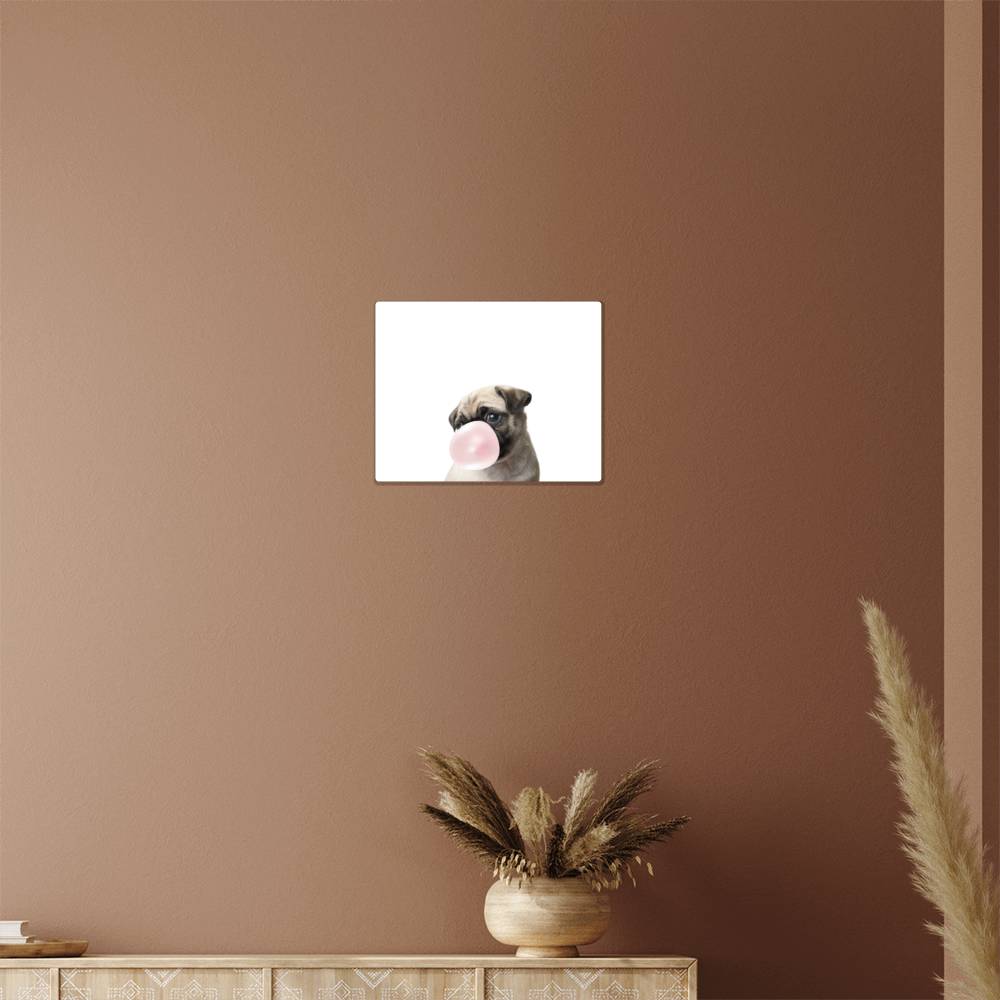 Cute Pug Blowing Bubblegum - Metal Wall Art