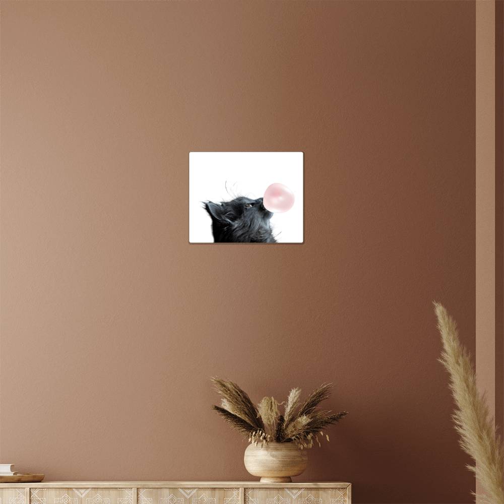 Cute Grey Cat Blowing Bubblegum - Metal Wall Art