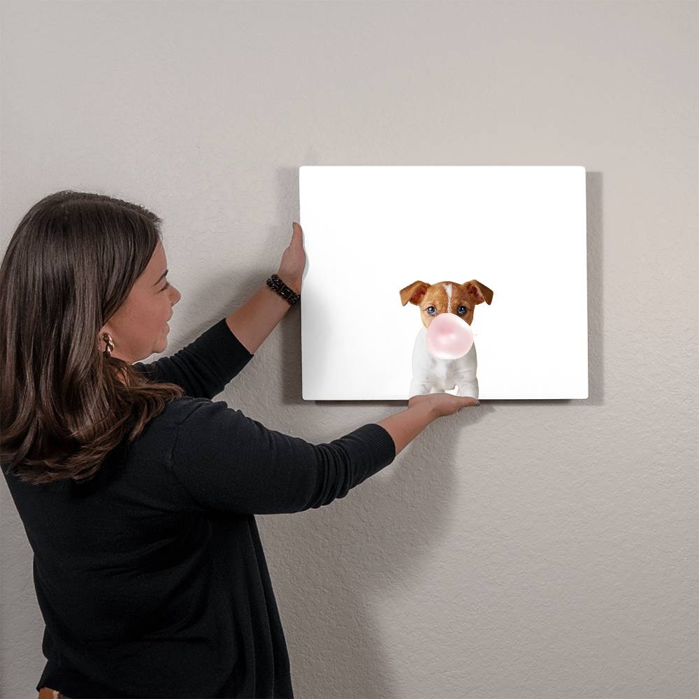 Cute Jack Russell Terrier Puppy Blowing Bubblegum - Metal Wall Art