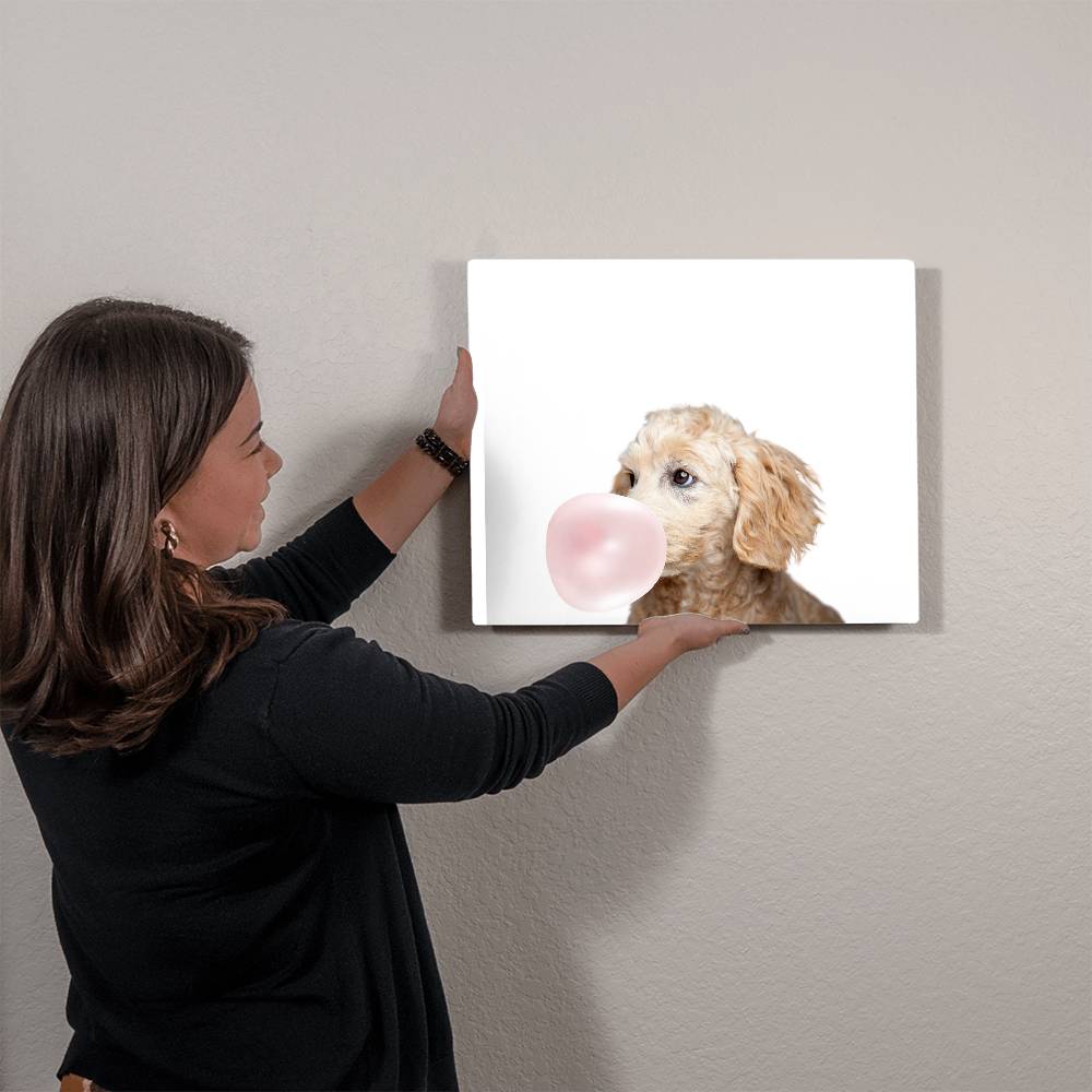 Cute Golden Doodle Blowing Bubblegum - Metal Wall Art