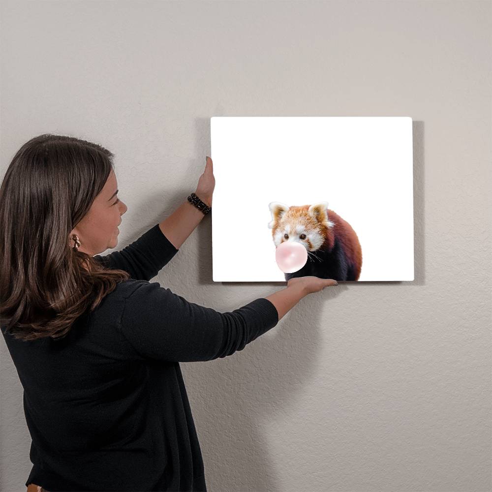 Red Panda Blowing Bubblegum - Metal Wall Art