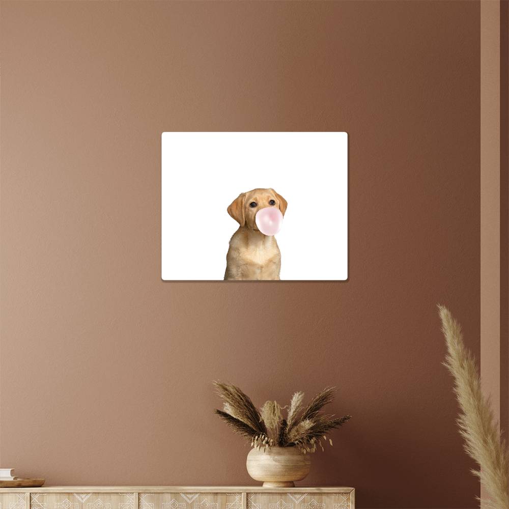 Cute Yellow Labrador Puppy Dog Blowing Bubblegum - Metal Wall Art