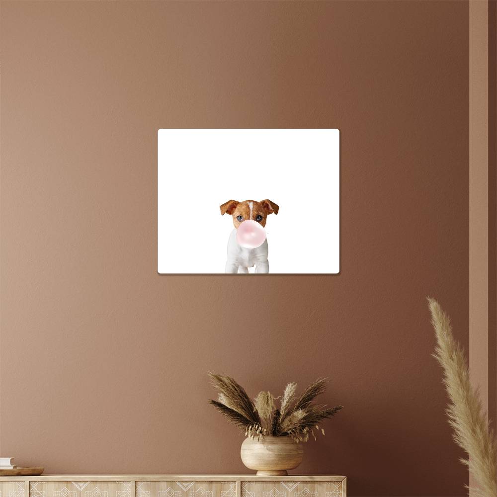 Cute Jack Russell Terrier Puppy Blowing Bubblegum - Metal Wall Art