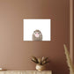 Metal Wall Art - Updated Hedgehog Aluminum Art Print With High Gloss Finish