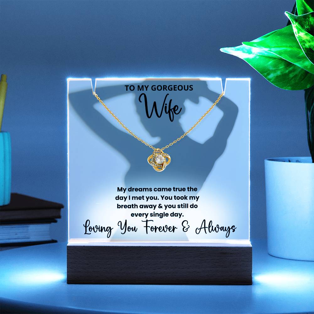 To My Gorgeous Wife Silhouette - LED Acrylic Plaque + Necklace Holder Bundle