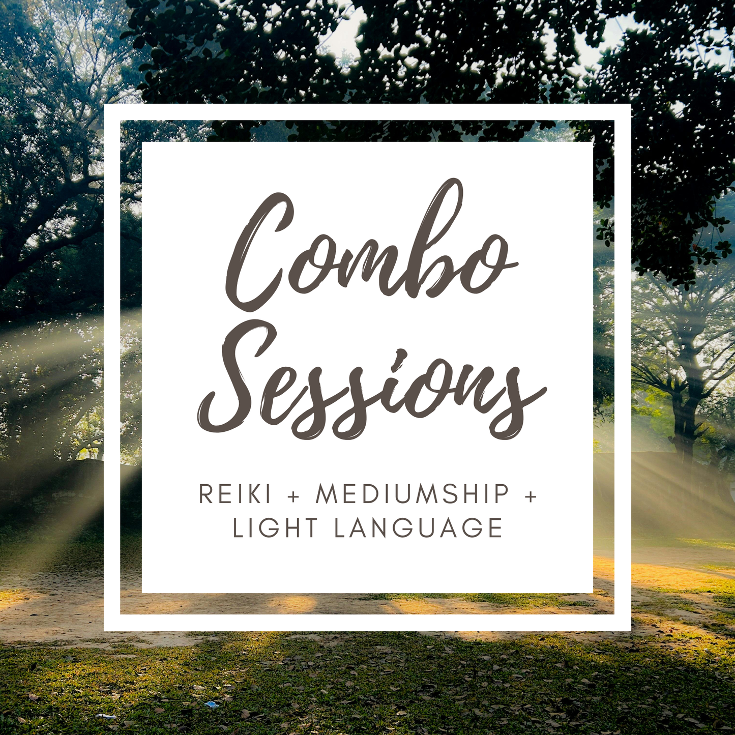Combo Sessions | Reiki + Light Language + Mediumship | Online or In-Person