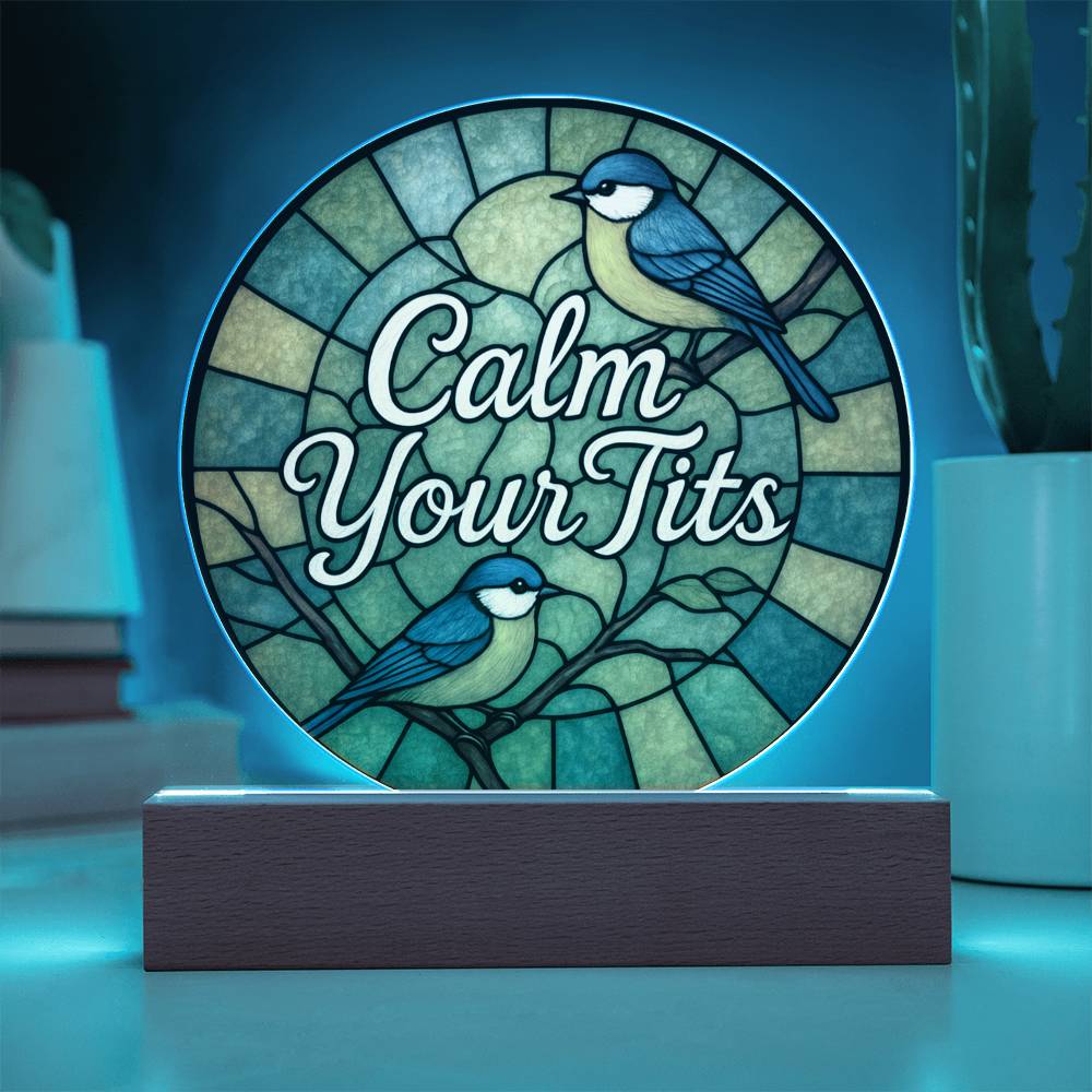 Funny LED Night Light - Green Bird Acrylic Desk Plaque | Sarcastic Gift Idea