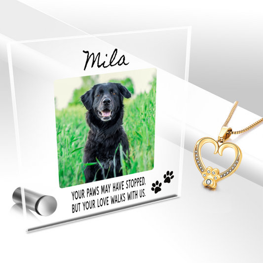 Custom Name Pet Portrait Memorial Gift, Personalized Loss Necklace Bundle with Stand, 24k Gold Paw Heart Pendant Lumenglass Message Stand