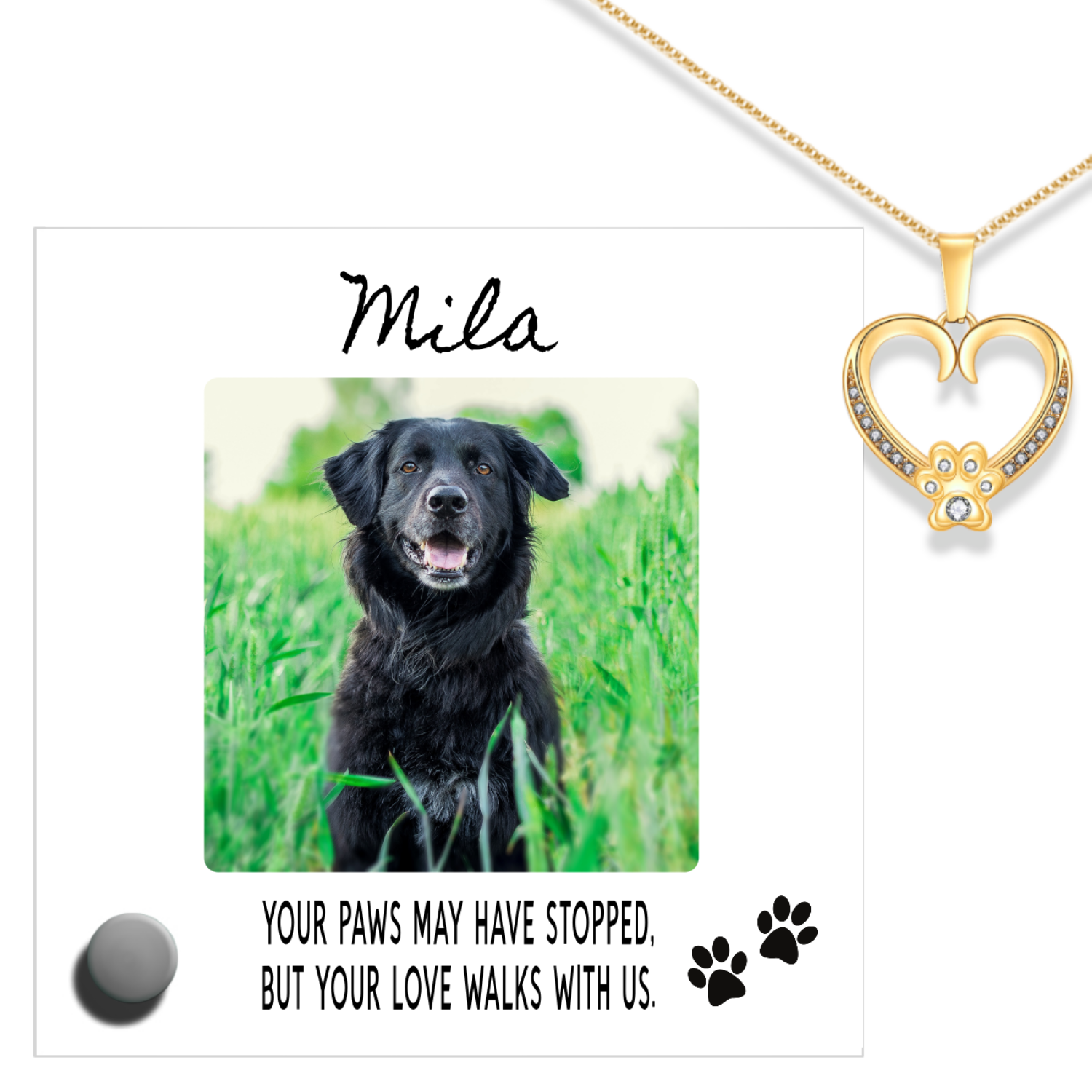 Custom Name Pet Portrait Memorial Gift, Personalized Loss Necklace Bundle with Stand, 24k Gold Paw Heart Pendant Lumenglass Message Stand