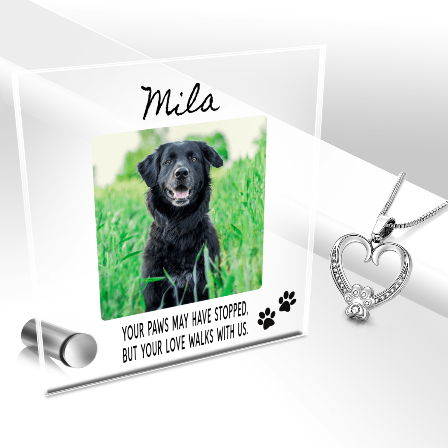 Custom Name Pet Portrait Memorial Gift, Personalized Loss Necklace Bundle with Stand, 24k White Gold Paw Heart Pendant Lumenglass Message Stand