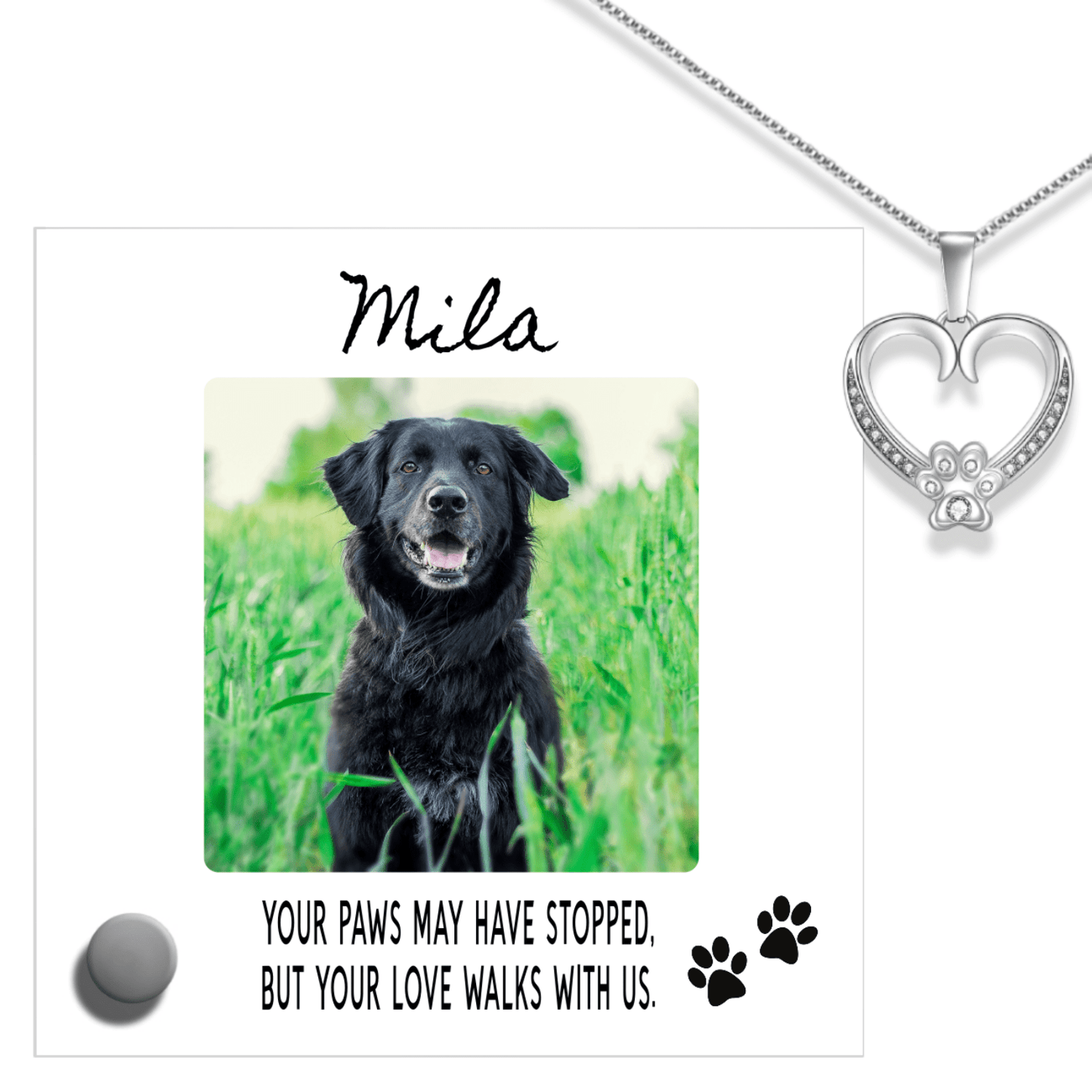 Custom Name Pet Portrait Memorial Gift, Personalized Loss Necklace Bundle with Stand, 24k White Gold Paw Heart Pendant Lumenglass Message Stand