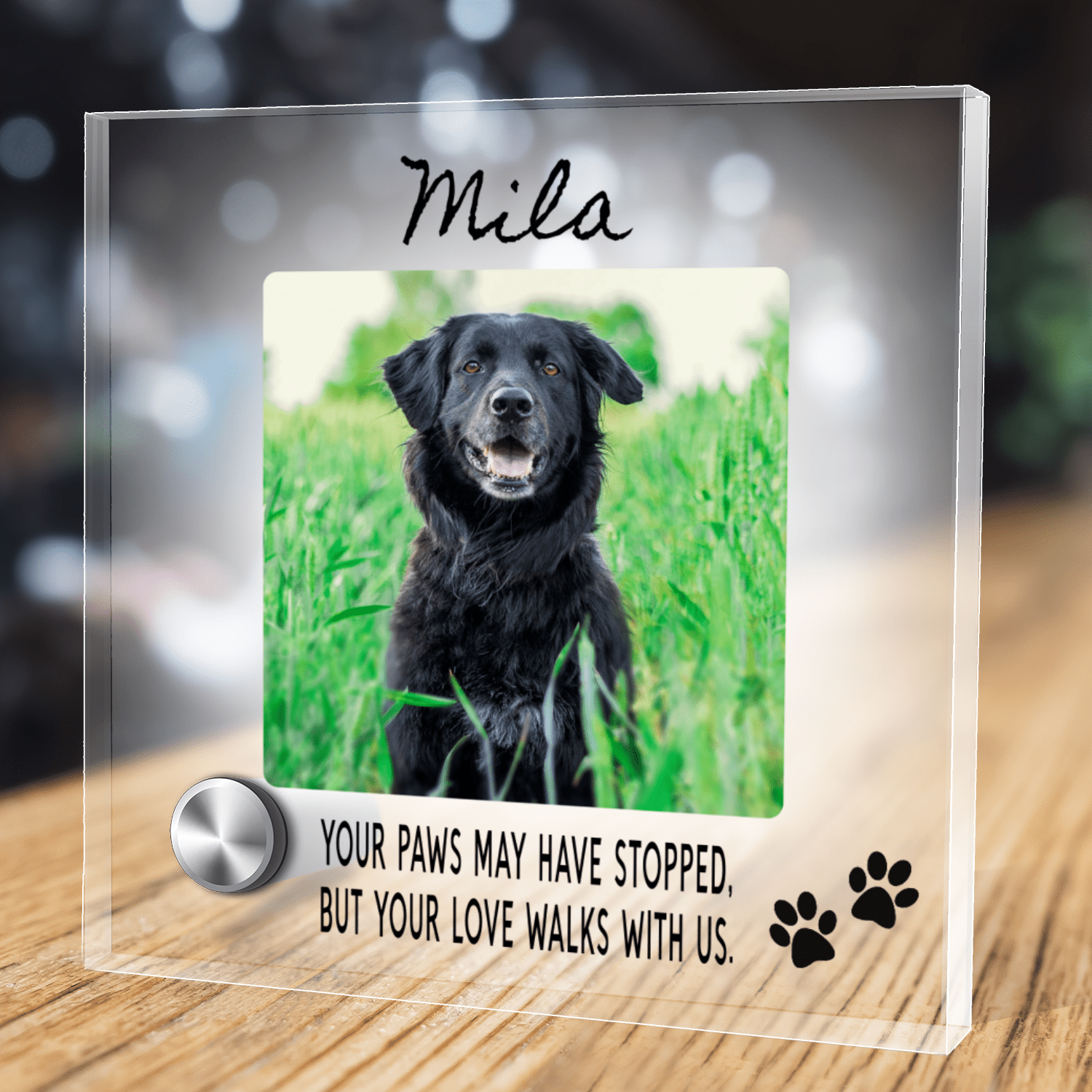 Custom Name Pet Portrait Memorial Gift, Personalized Loss Necklace Bundle with Stand, 24k White Gold Paw Heart Pendant Lumenglass Message Stand