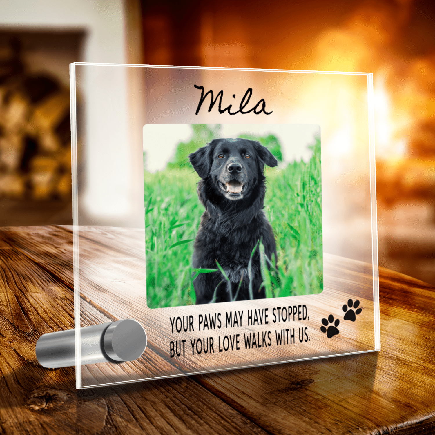 Custom Name Pet Portrait Memorial Gift, Personalized Loss Necklace Bundle with Stand, 24k White Gold Paw Heart Pendant Lumenglass Message Stand