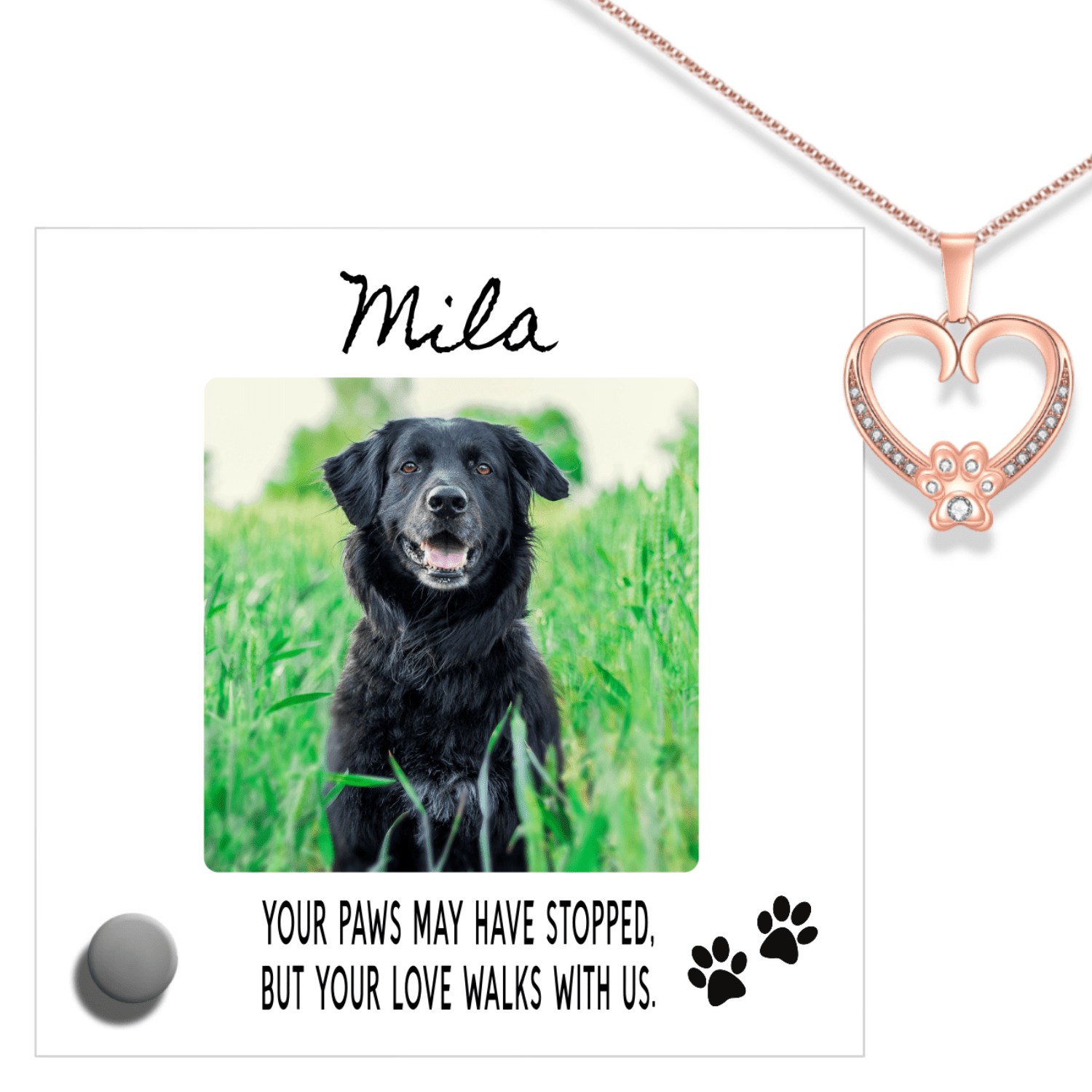 Custom Name Pet Portrait Memorial Gift, Personalized Loss Necklace Bundle w Stand, 18k Rose Gold Paw Heart Pendant Lumenglass Message Stand