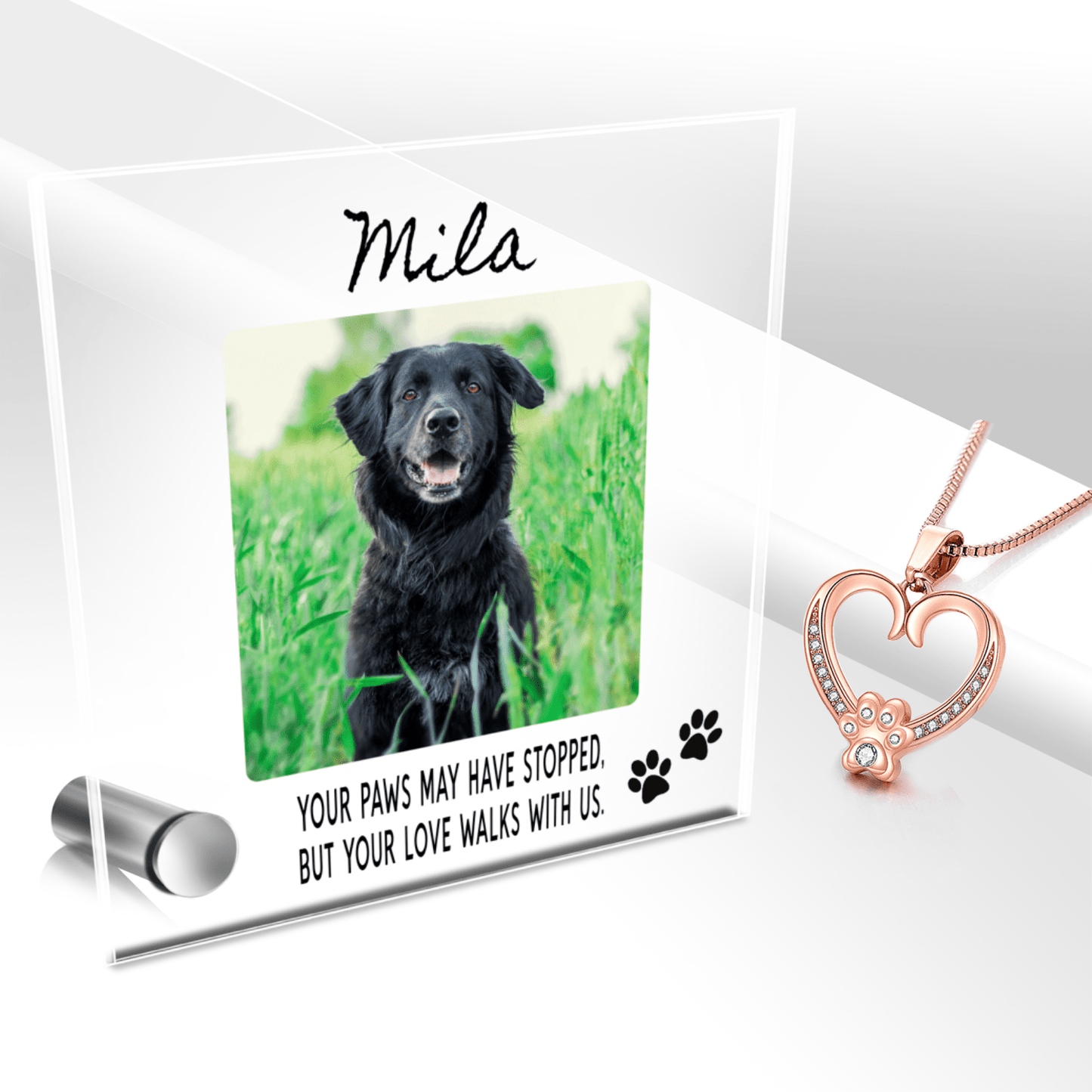 Custom Name Pet Portrait Memorial Gift, Personalized Loss Necklace Bundle w Stand, 18k Rose Gold Paw Heart Pendant Lumenglass Message Stand