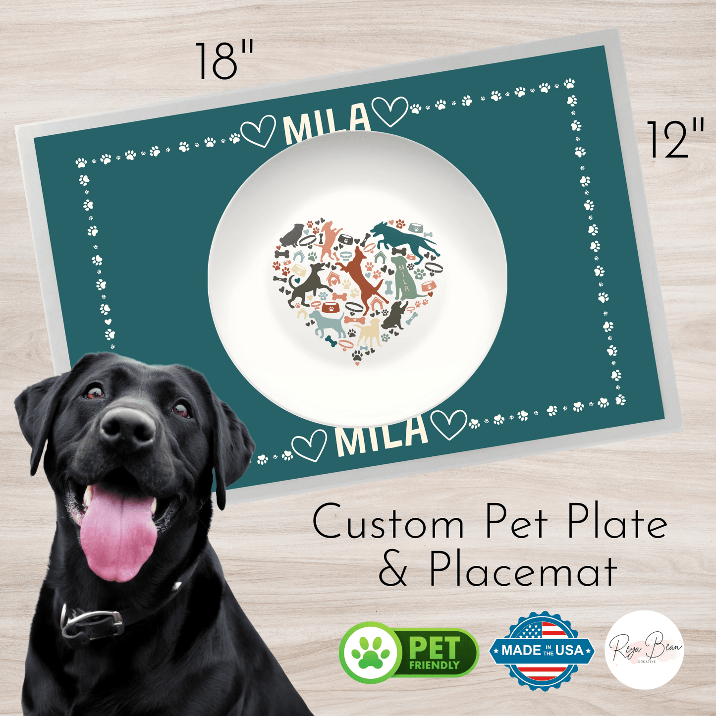 Custom Dog Plate, Personalized Feeding Dish Puppy, Dog Birthday Party Pet Placemat Matching Set, Gift for Dog-Lover Pet Friendly Parent